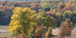 West of Madison, Pioneer Rd. area